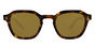 BP0061/S Tucker - T49 Chestnut Vintage Brown Lens