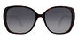 MARC 304S - T56 Dark Havana DARK GREY SF