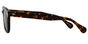 Lemtosh S - T49 Tortoise G15 Lens
