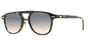 Daytona S - T47 Tortoise Marron degradé