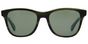 PM8204S Berman - T54 Olive Tortoise Teal G15 POLAR