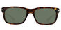 PO3048S - T58 Havana G15 lenses