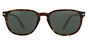 PO3019S - T52 Havana Cristal Grey Lens