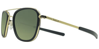 Randolph Aviator Fusion - T55 Gold 23K Polarized Evergreen