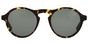 WE0129S - T49 TORTOISE Brown