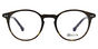 Pierre + Clip On -T48 Tort 
