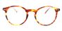 Castore - T46 Orange Tortoise 