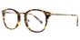Amleto Leggenda - T48 Tortuga Tortoise 