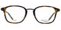 Kaal 32 - T49 Ecaille Havana 