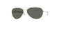 PM4009 PS 817 - T64 Gold G15 Polar Lens